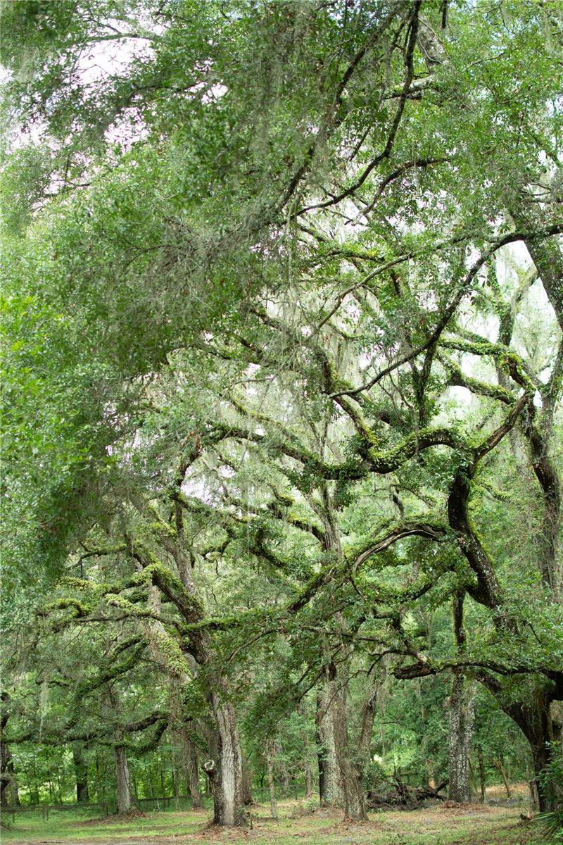 Image 8 of 19 For 4100 89th Avenue