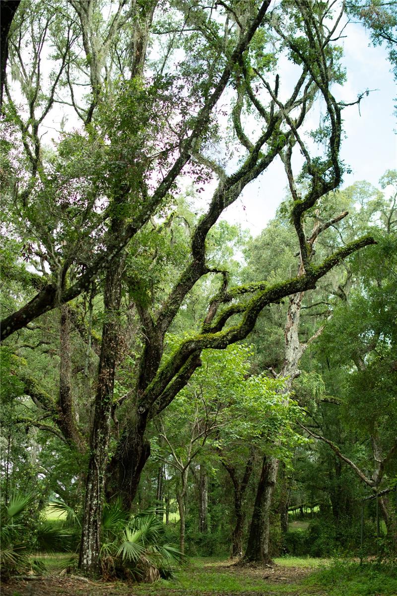 Image 9 of 19 For 4100 89th Avenue