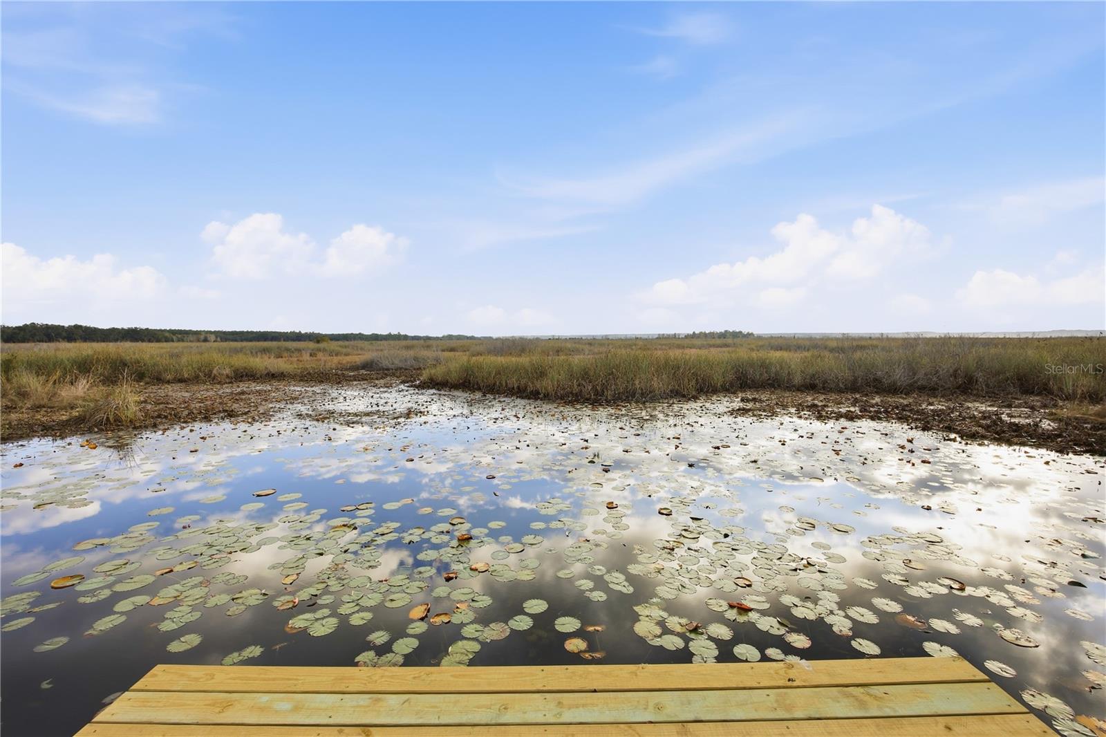 Details for 23422 154th Place Road, SALT SPRINGS, FL 32134