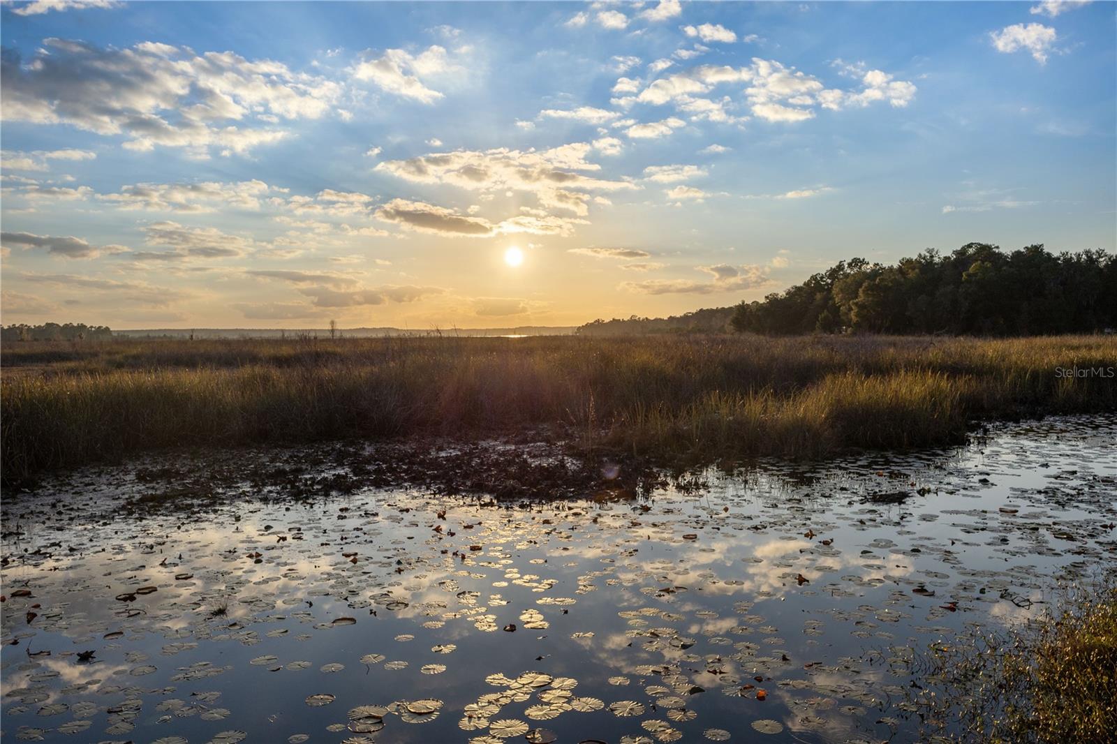 Image 27 of 30 For 23422 154th Place Road