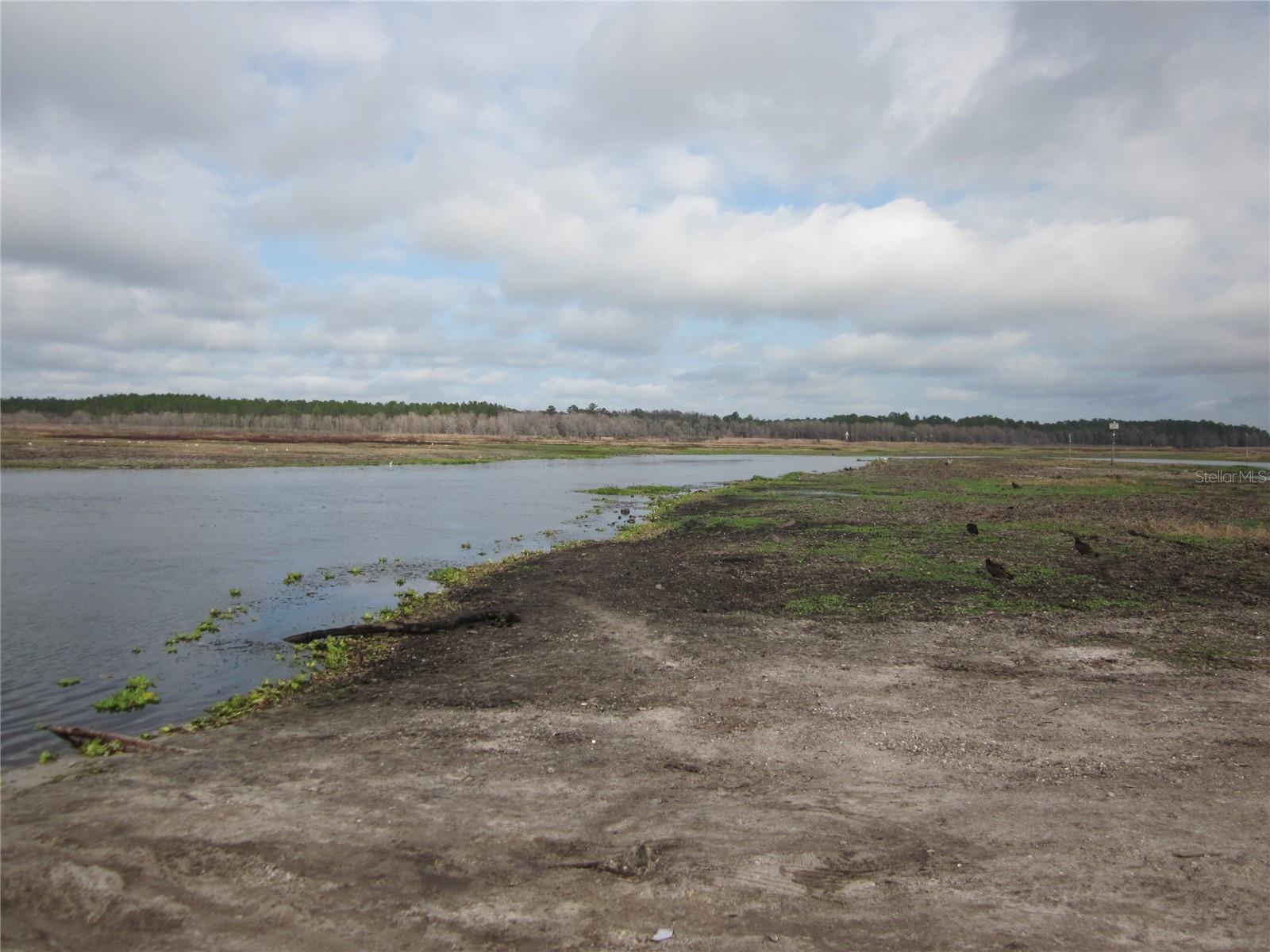 Image 5 of 7 For 00 239 Lane Ne Lot-a37