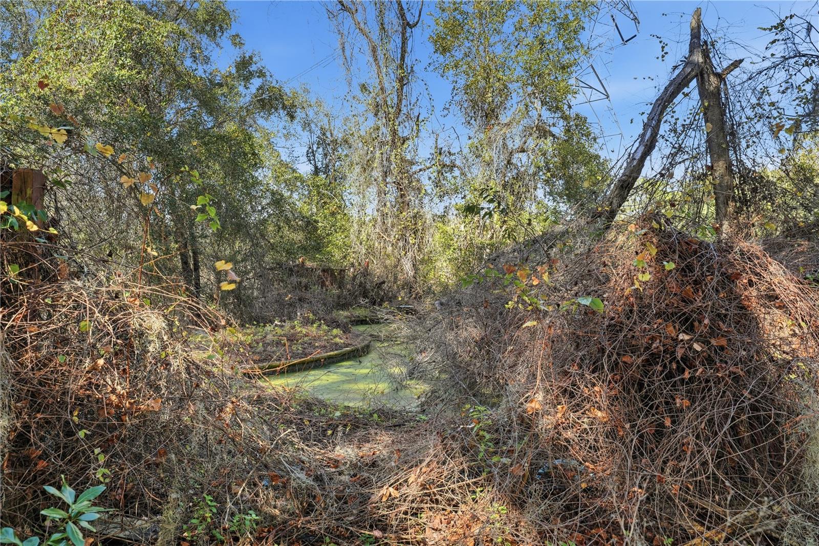 Image 4 of 29 For 3932 County Road 507