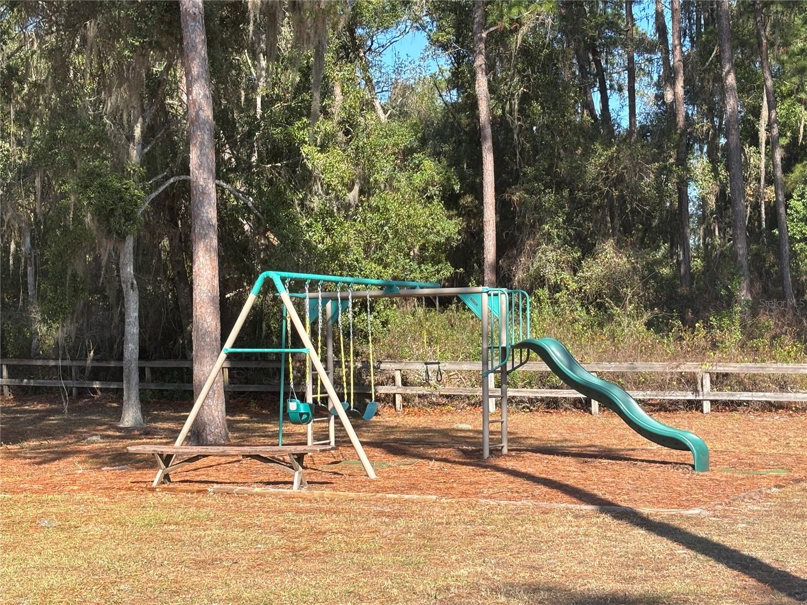 Image 31 of 31 For 13014 5th Place