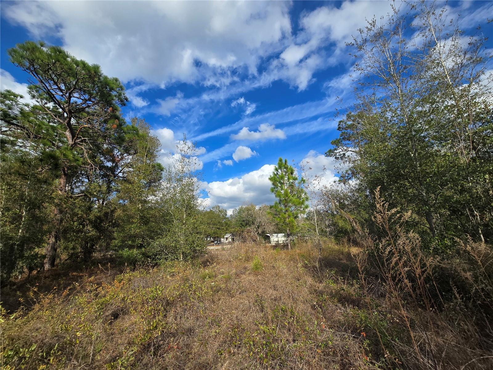 Image 10 of 20 For 4610 Ellen Point