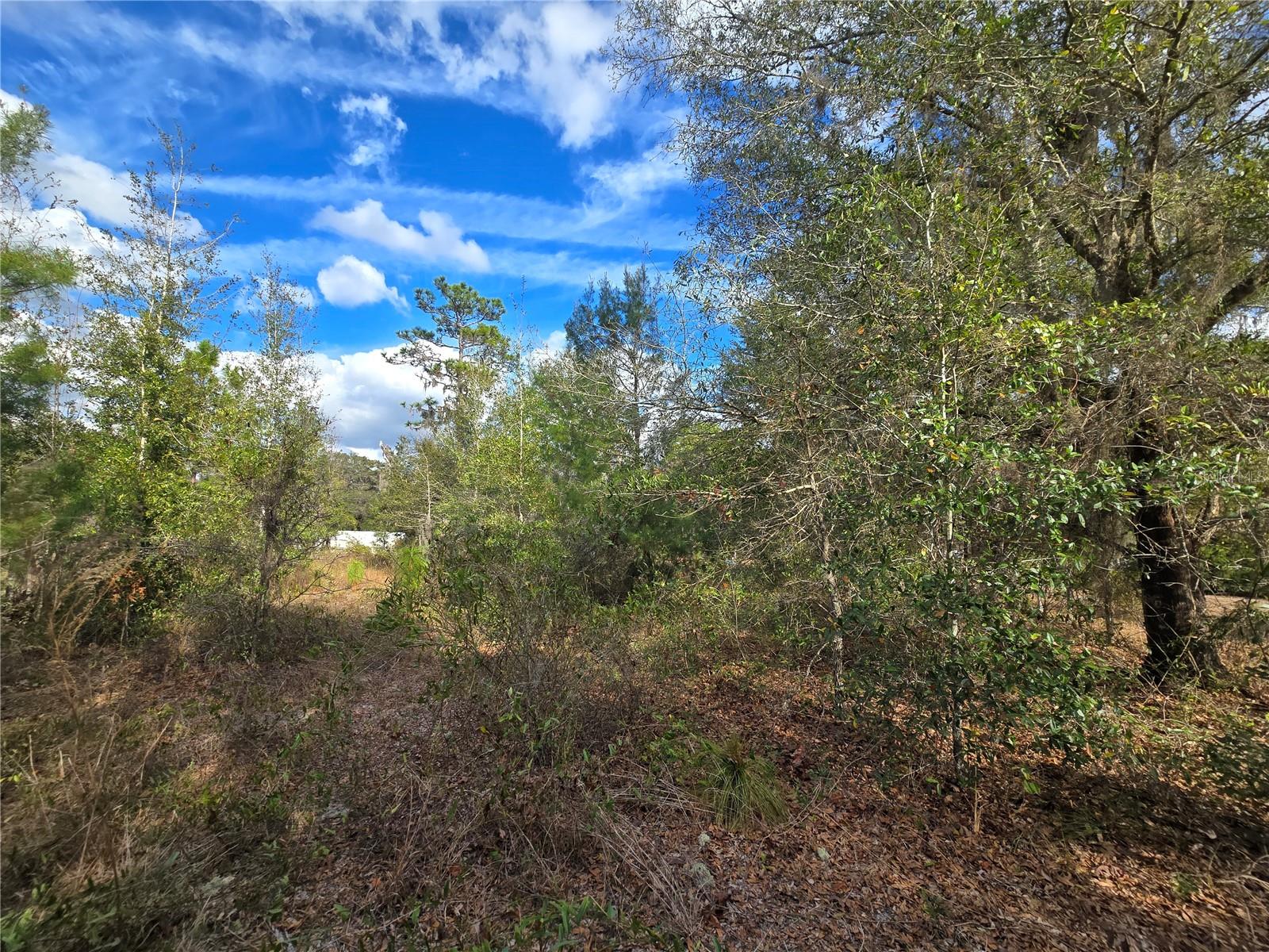 Image 11 of 20 For 4610 Ellen Point