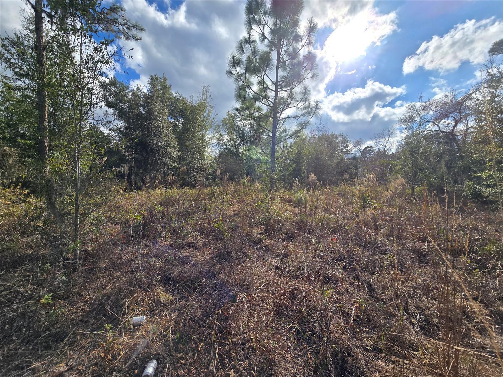 Image 13 of 20 For 4610 Ellen Point