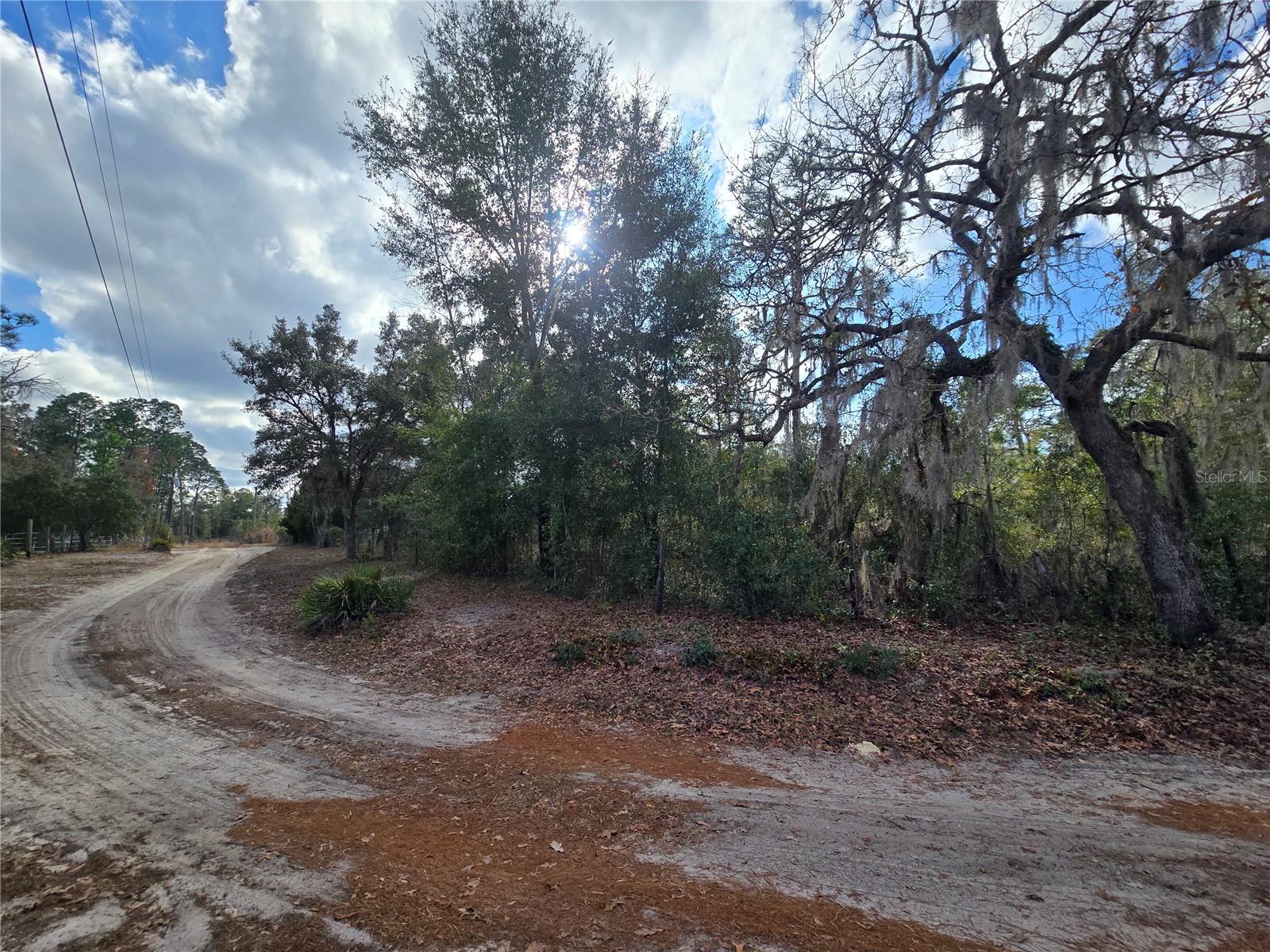 Image 14 of 20 For 4610 Ellen Point