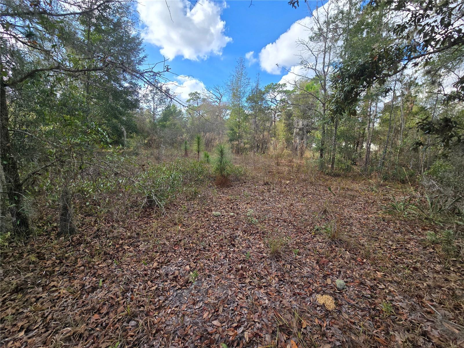 Image 15 of 20 For 4610 Ellen Point