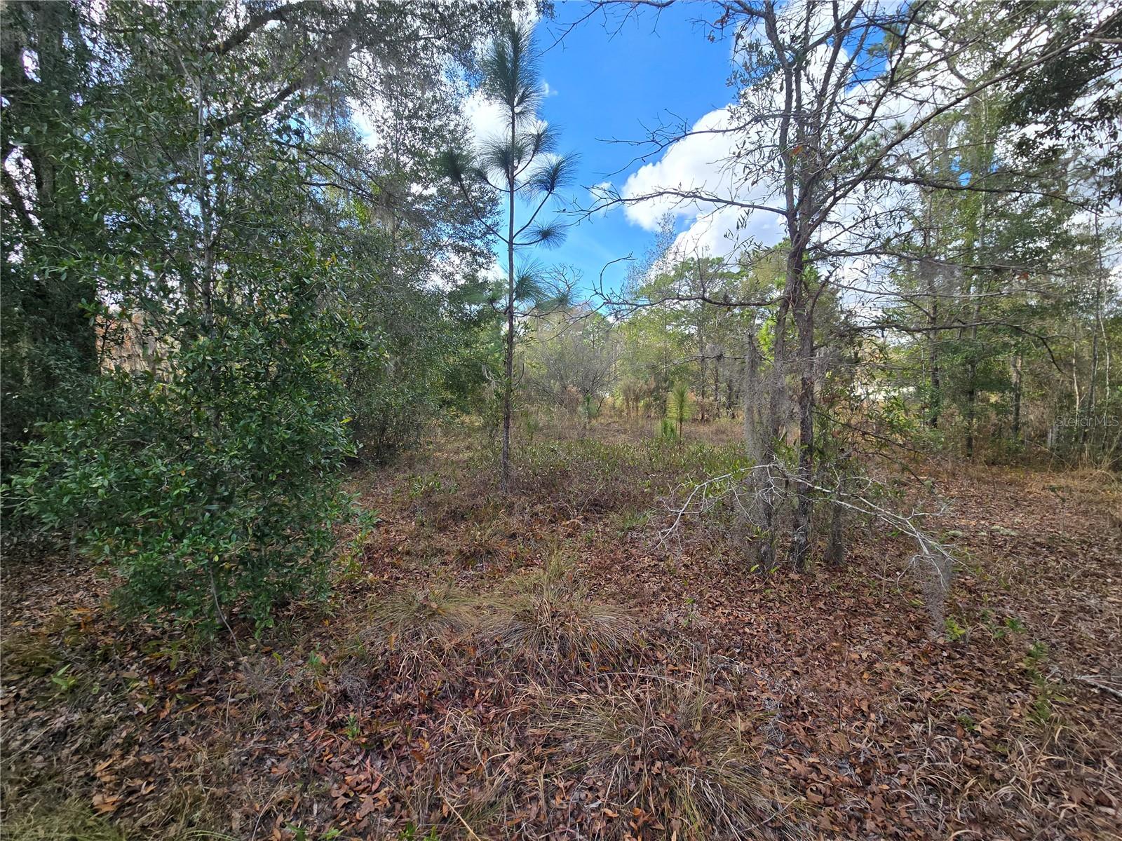 Image 16 of 20 For 4610 Ellen Point