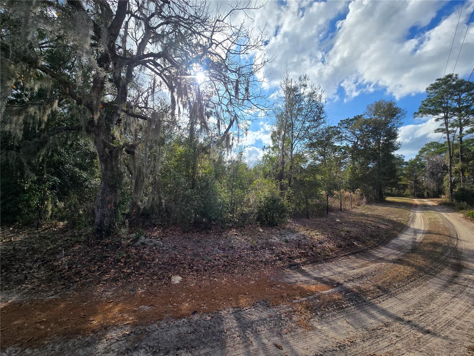 Image 19 of 20 For 4610 Ellen Point