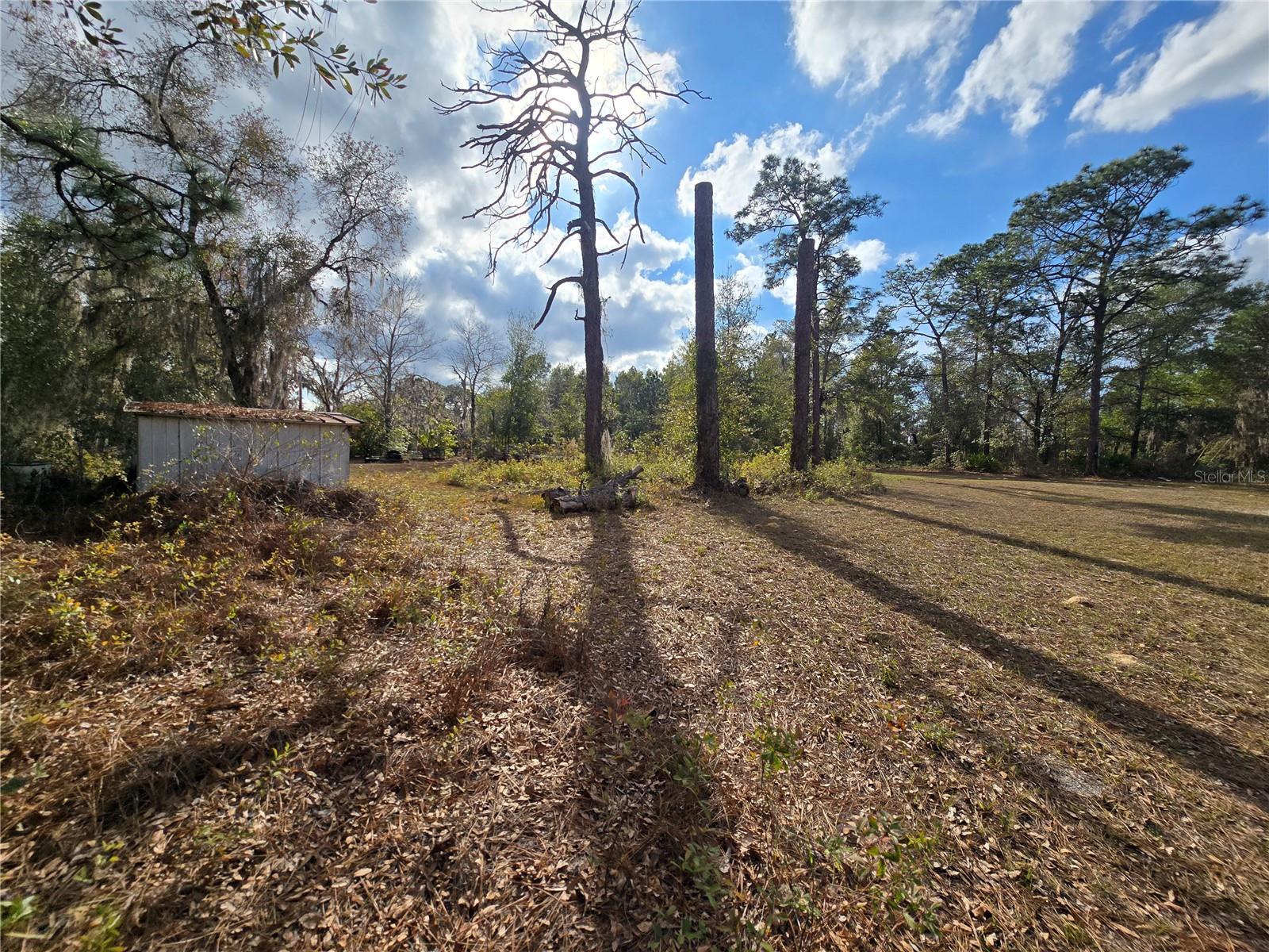 Image 3 of 20 For 4610 Ellen Point