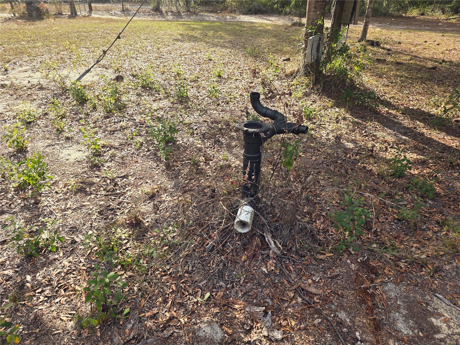 Image 5 of 20 For 4610 Ellen Point