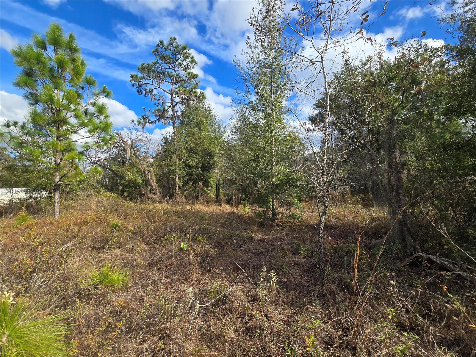 Image 9 of 20 For 4610 Ellen Point