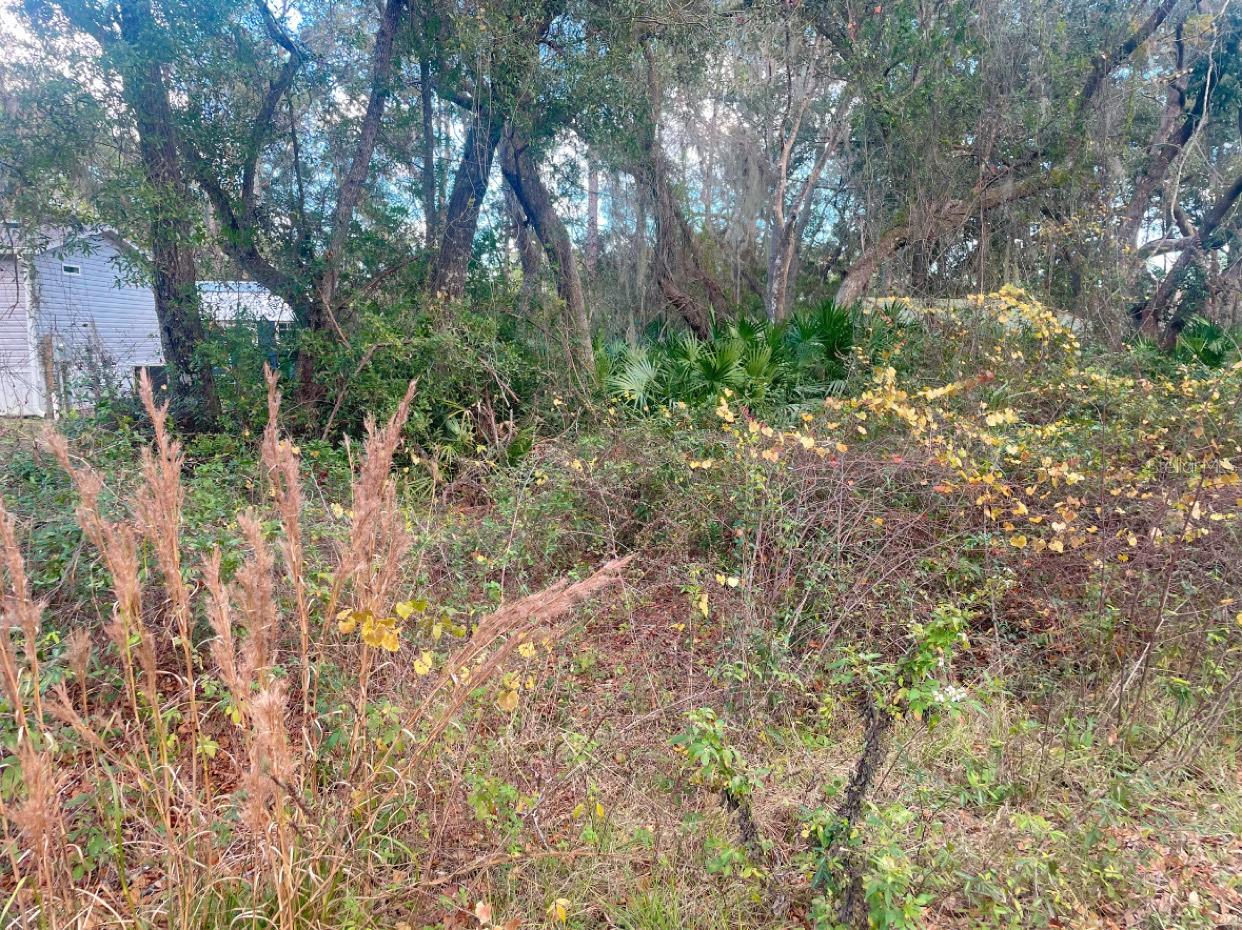 Image 3 of 7 For Address Not Provided