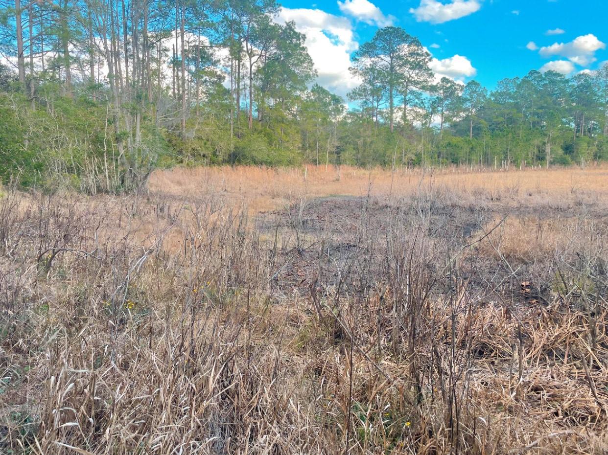 Image 5 of 7 For Address Not Provided