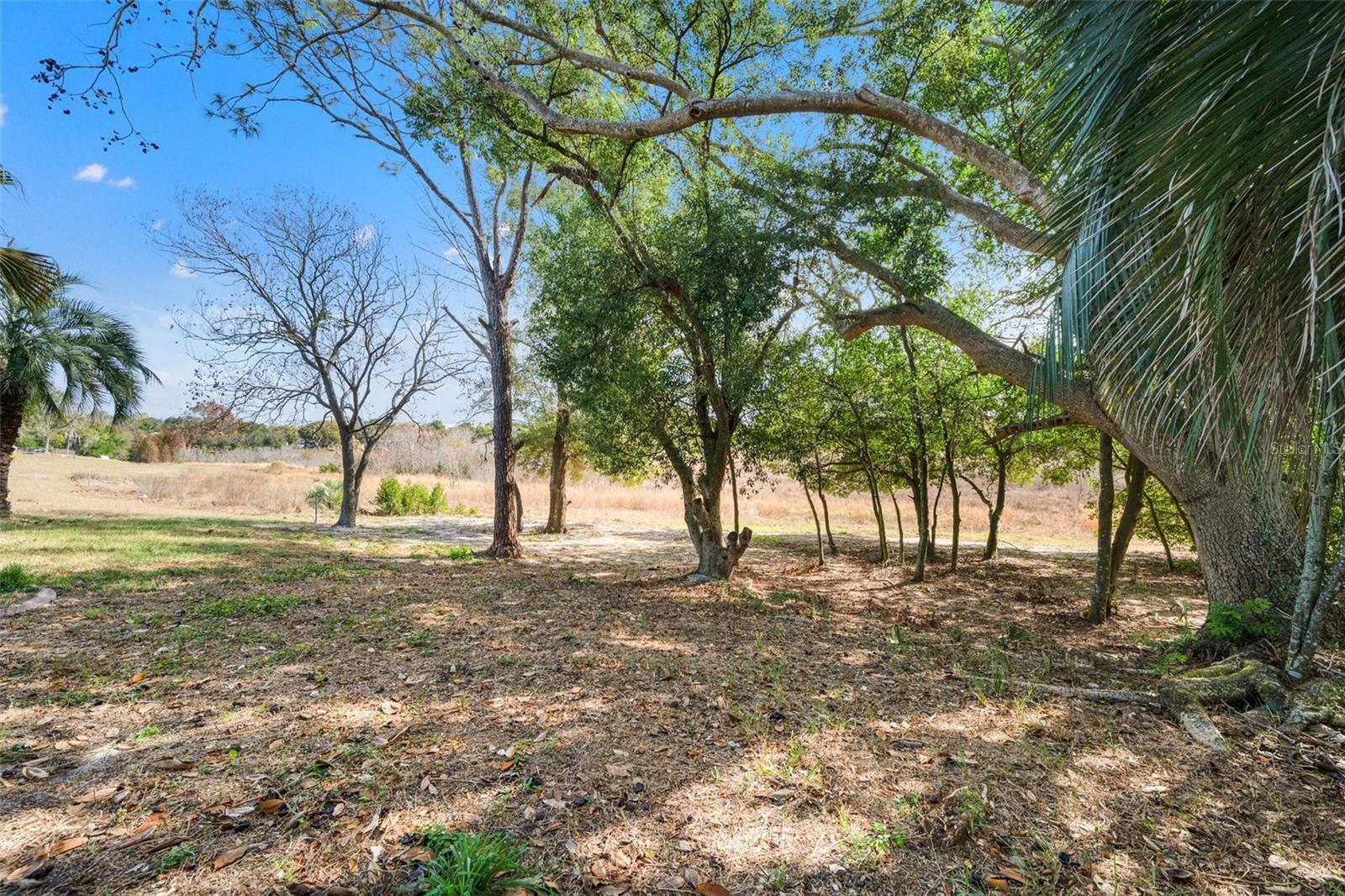 Listing photo id 40 for 6422 Fairlawn Street