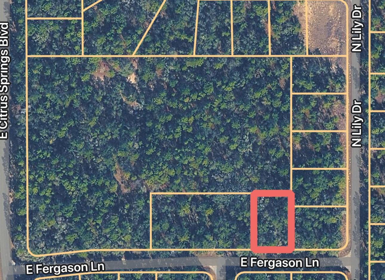 Details for 1409 Fergason Lane, DUNNELLON, FL 34434