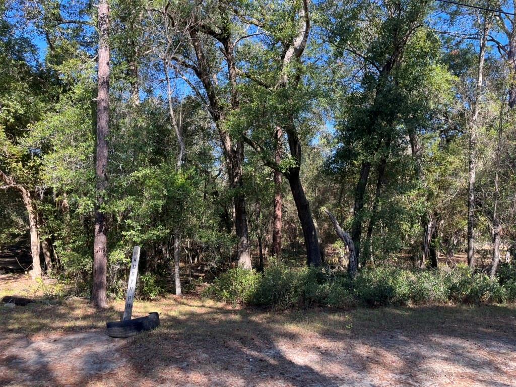 Image 3 of 5 For North Road