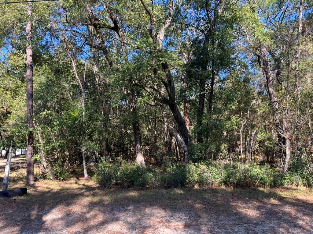 Image 4 of 5 For North Road