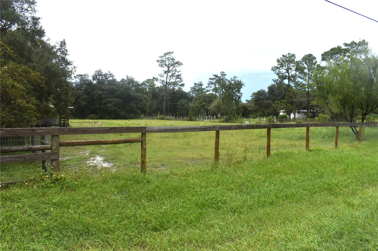 Image 20 of 23 For 15355 85th Avenue