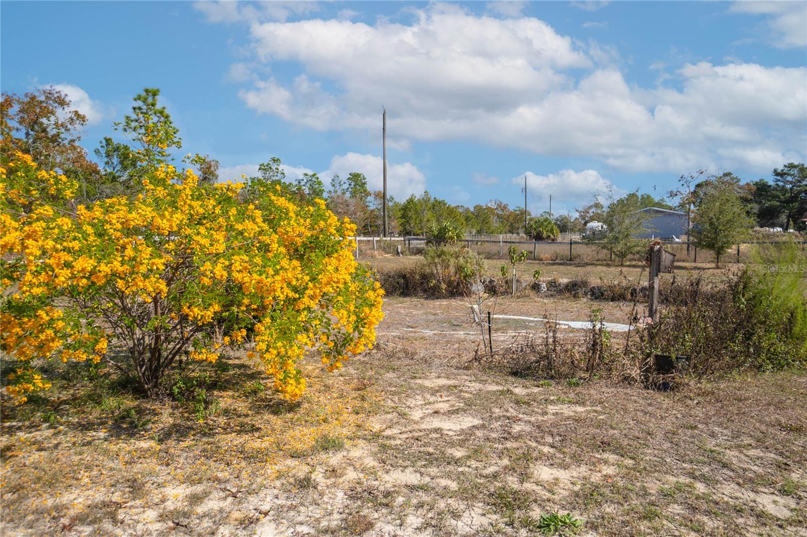 Image 35 of 35 For 5500 X Anne Lane