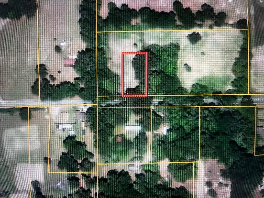 Details for 0 175  , CITRA, FL 32113