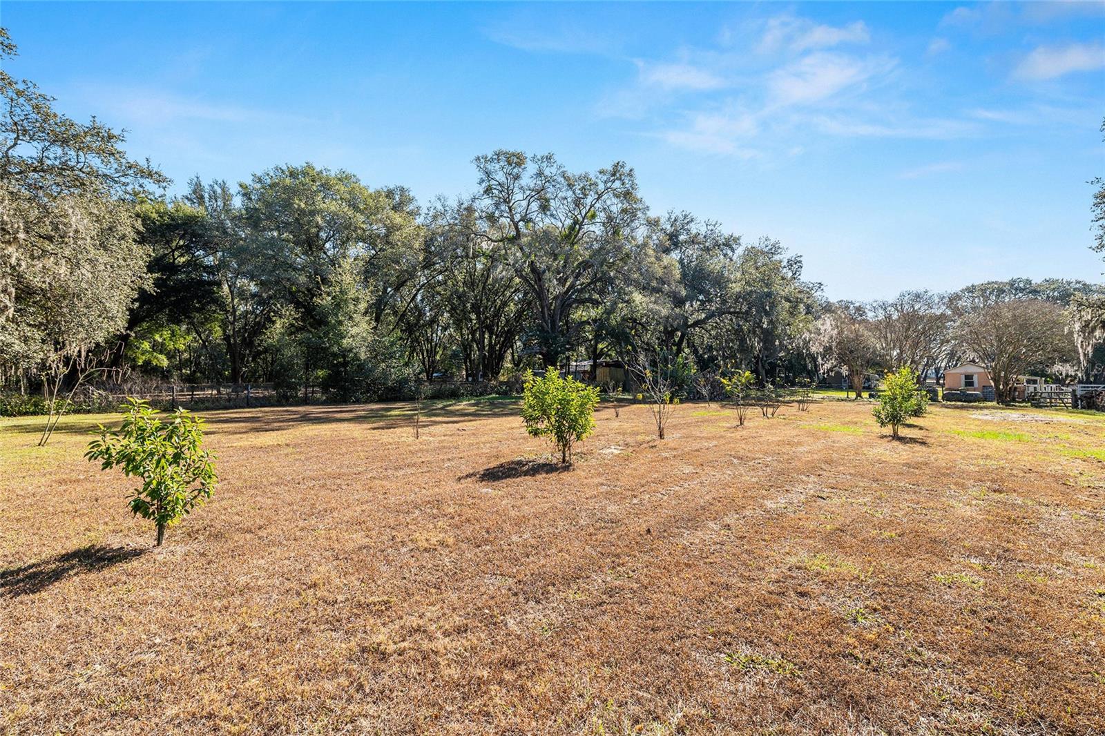 Image 41 of 45 For 14755 180th Street