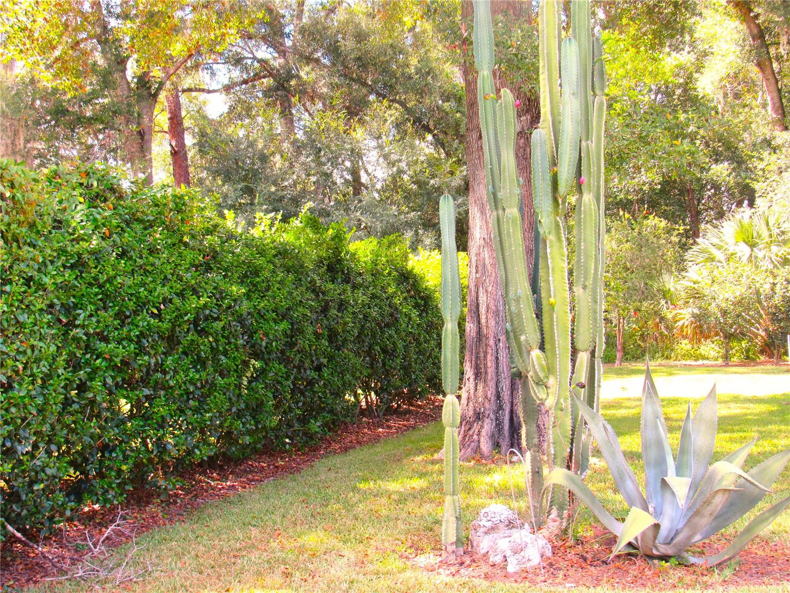 Image 47 of 63 For 19176 93rd Loop