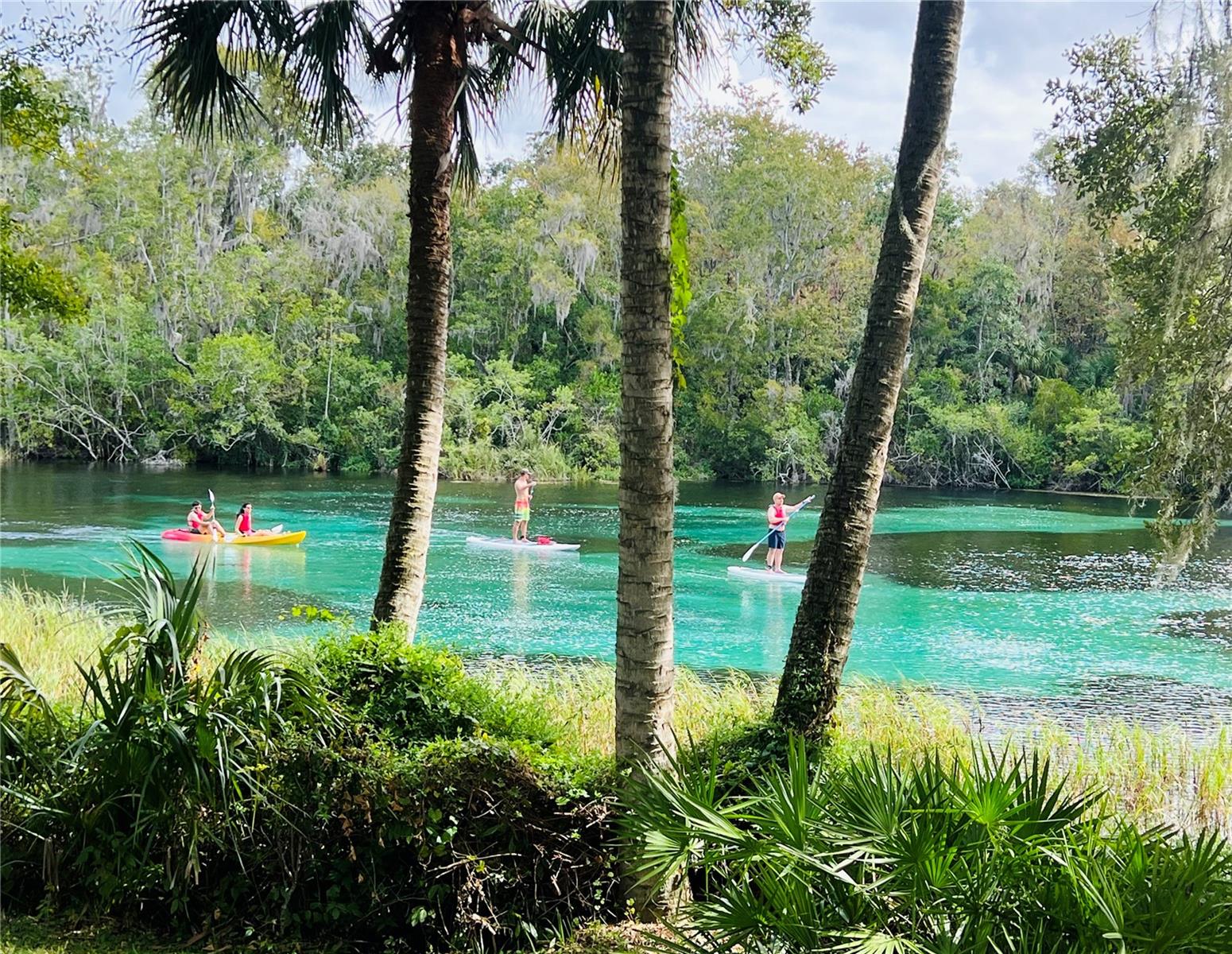 Image 50 of 63 For 19176 93rd Loop