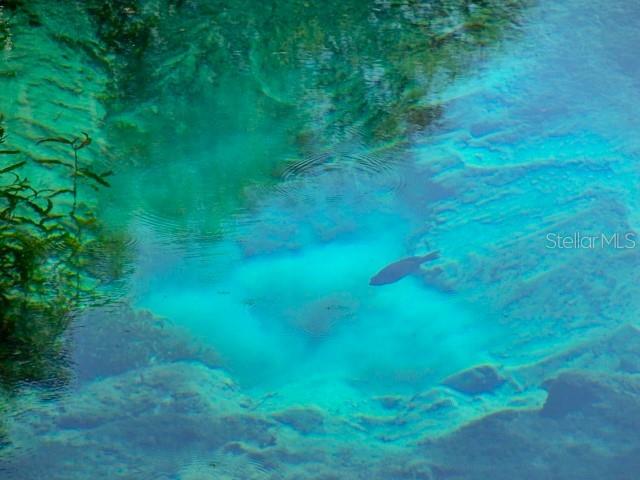 Image 54 of 63 For 19176 93rd Loop