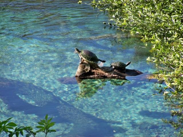 Image 55 of 63 For 19176 93rd Loop