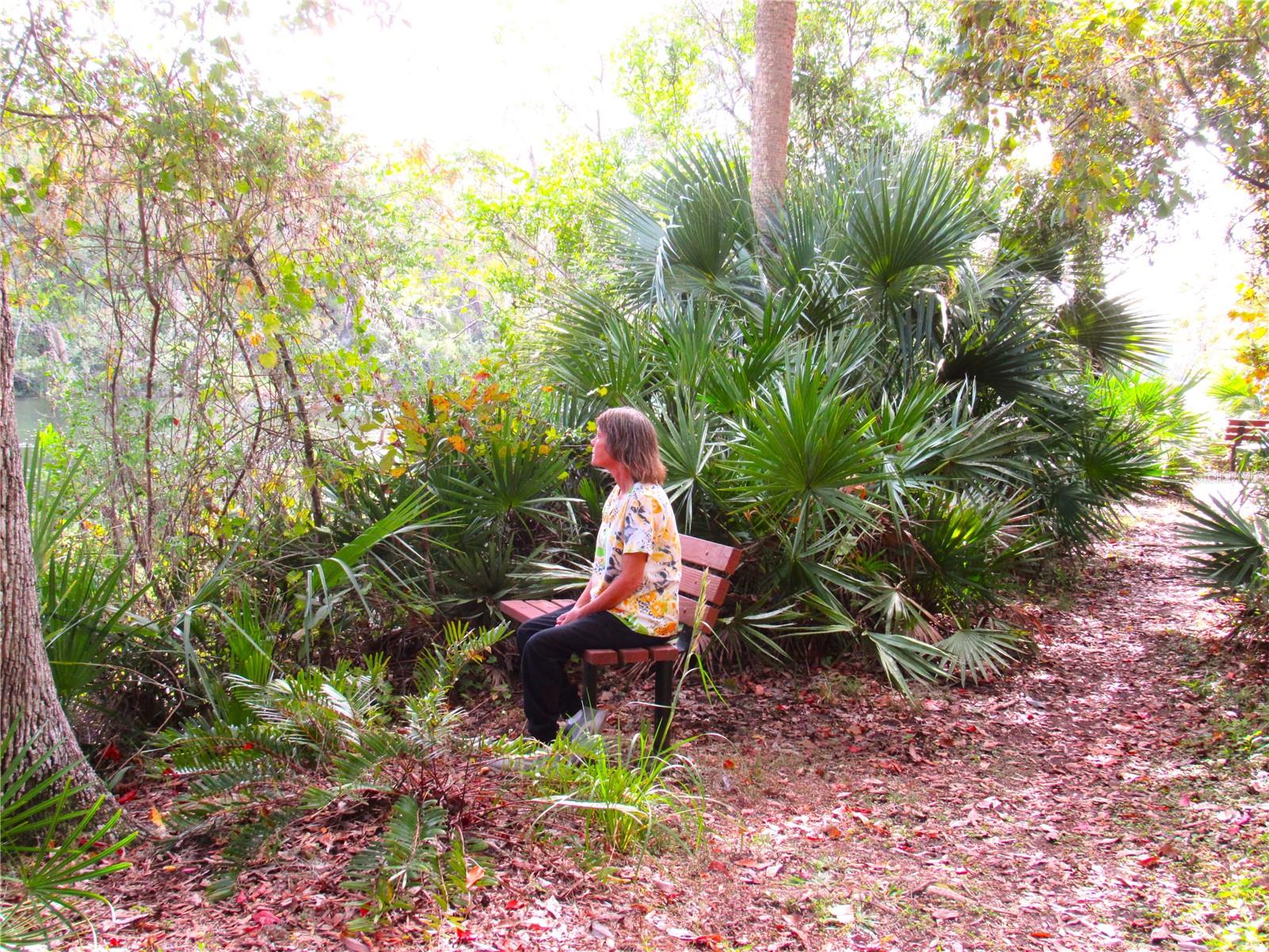 Image 60 of 63 For 19176 93rd Loop