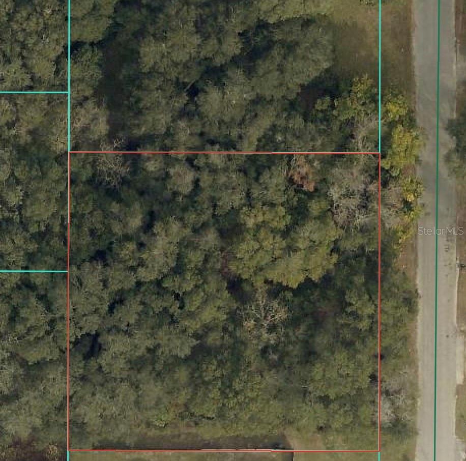 Details for Tbd 94 Court, SUMMERFIELD, FL 34491