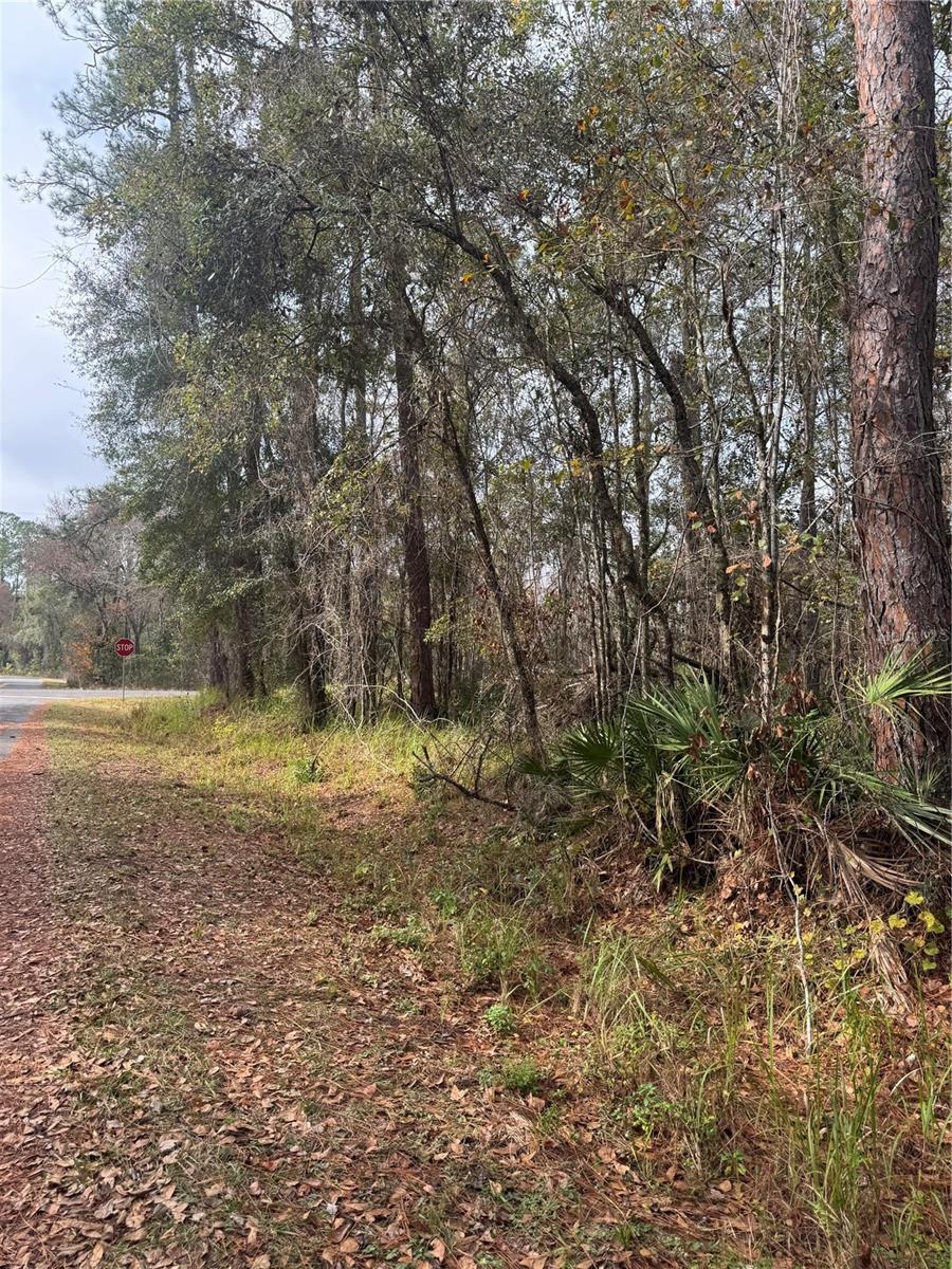 Image 5 of 8 For  Locust Road 