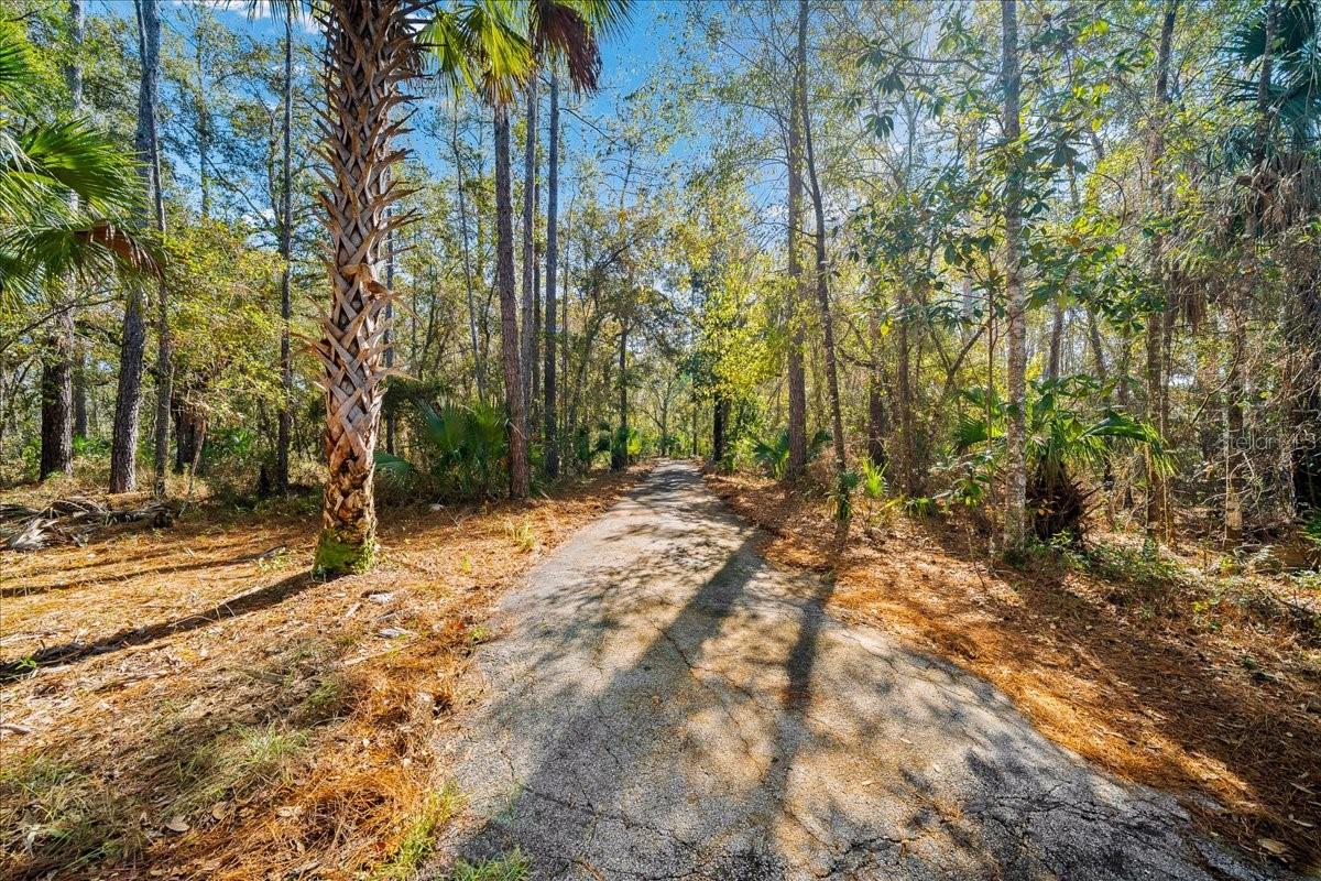 Image 74 of 78 For 12359 Hwy 314