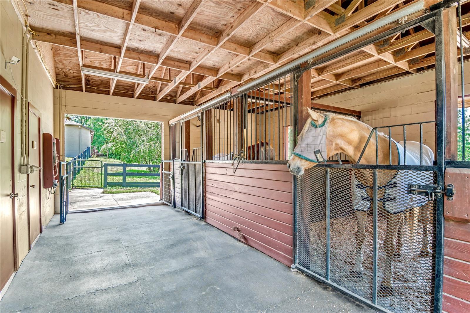 Image 53 of 79 For 3428 Bravo Drive