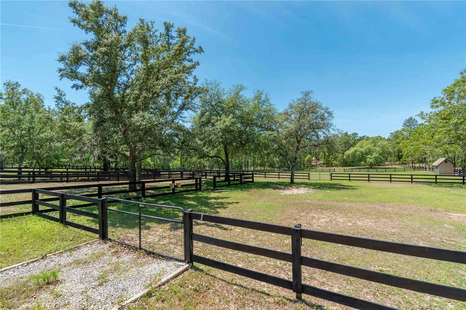 Image 65 of 79 For 3428 Bravo Drive