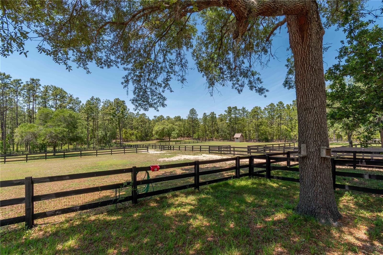 Image 66 of 79 For 3428 Bravo Drive