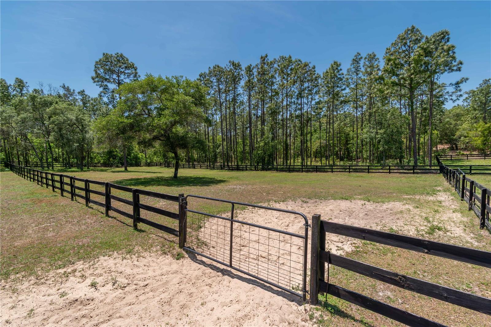 Image 67 of 79 For 3428 Bravo Drive