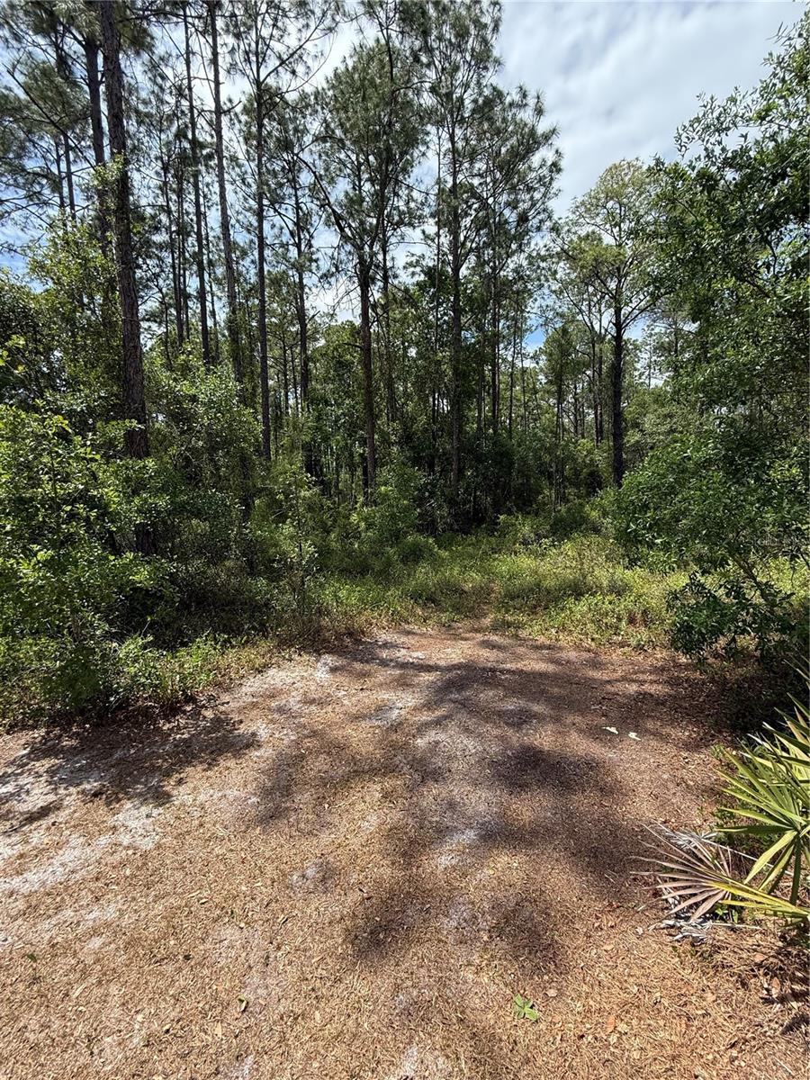 Image 3 of 4 For Tbd 156th Lane