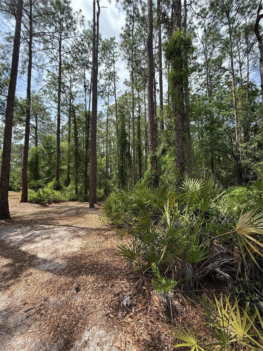 Image 4 of 4 For Tbd 156th Lane