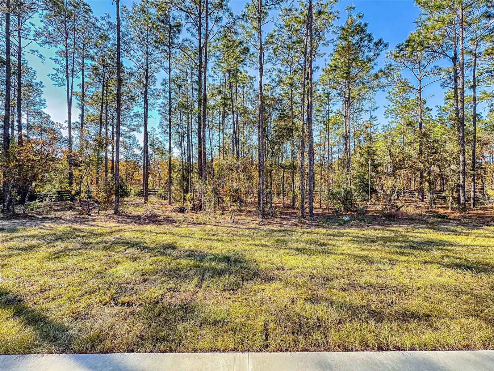 Image 55 of 63 For 13005 62nd Street Road