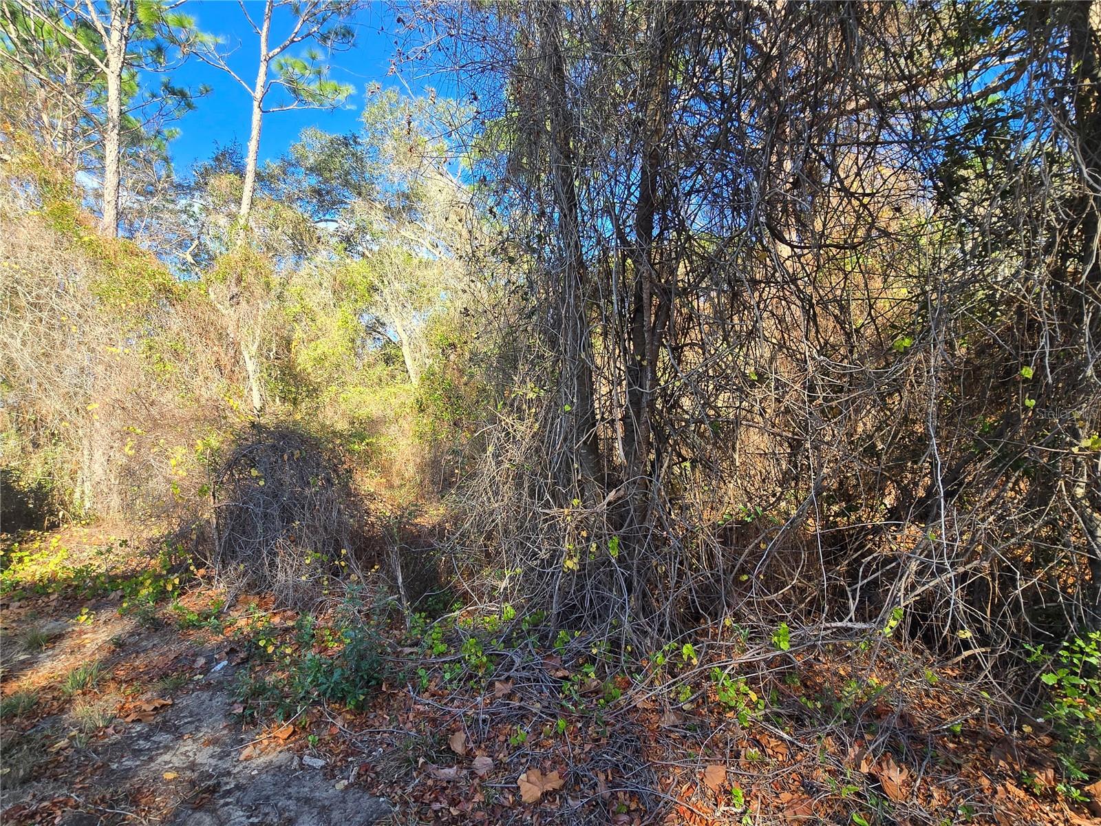 Image 2 of 7 For 3257 Kennedy Street