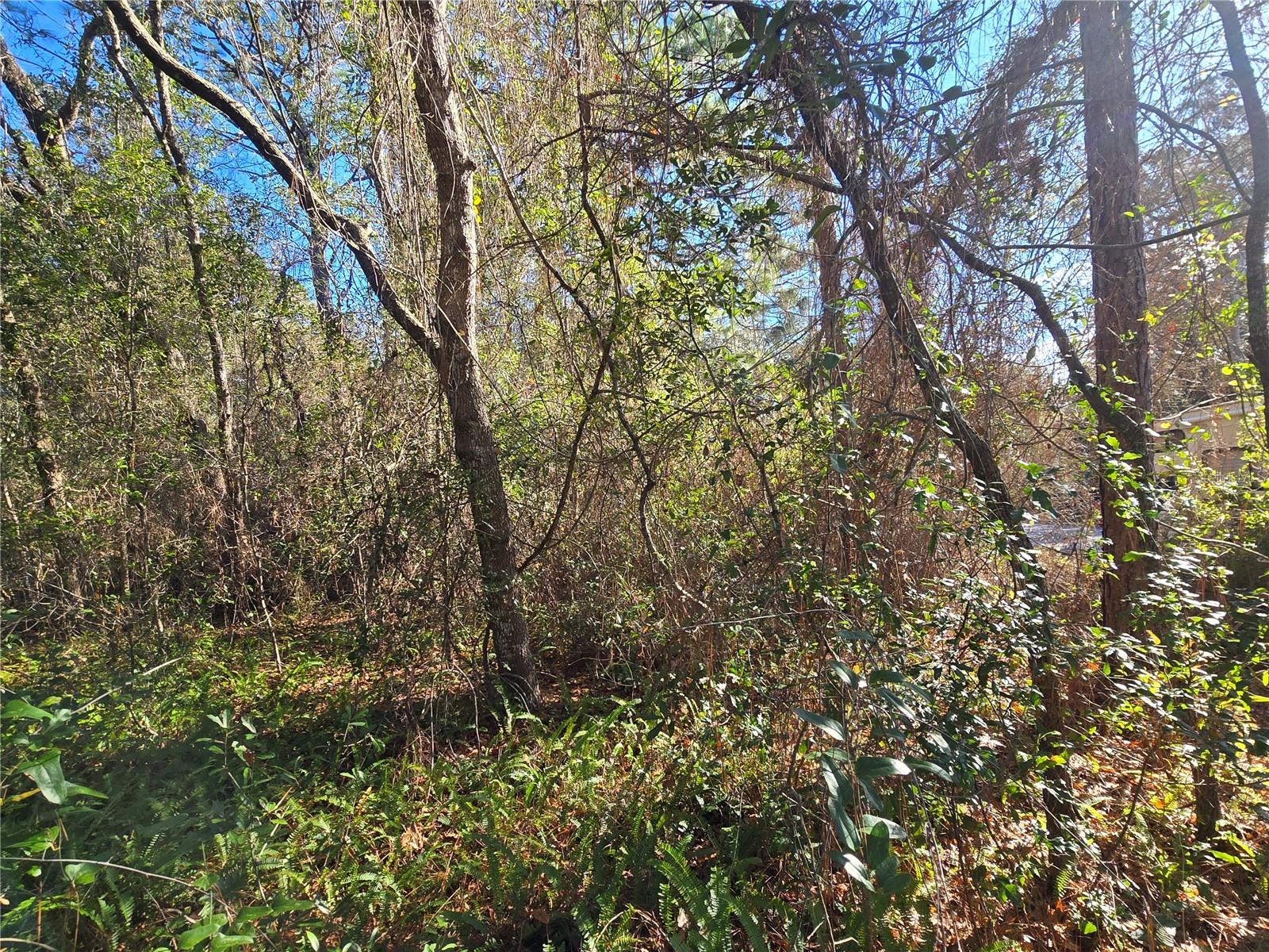 Image 5 of 7 For 3257 Kennedy Street