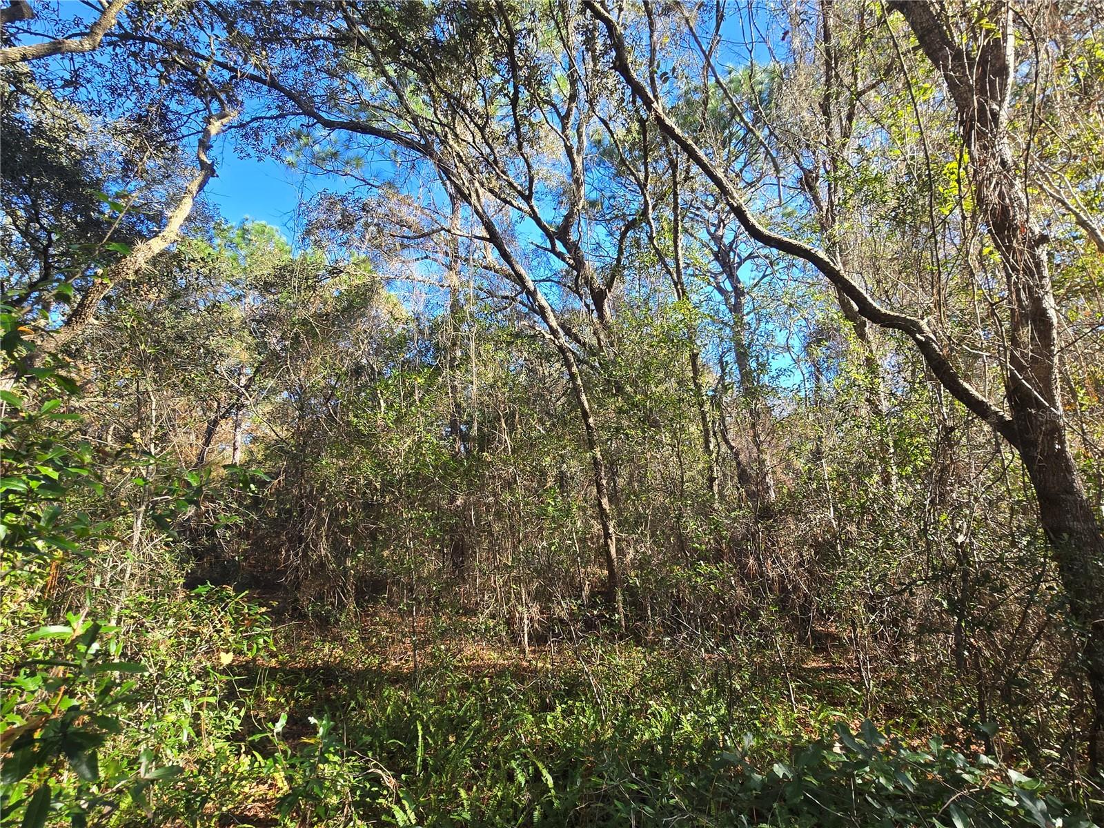 Image 6 of 7 For 3257 Kennedy Street