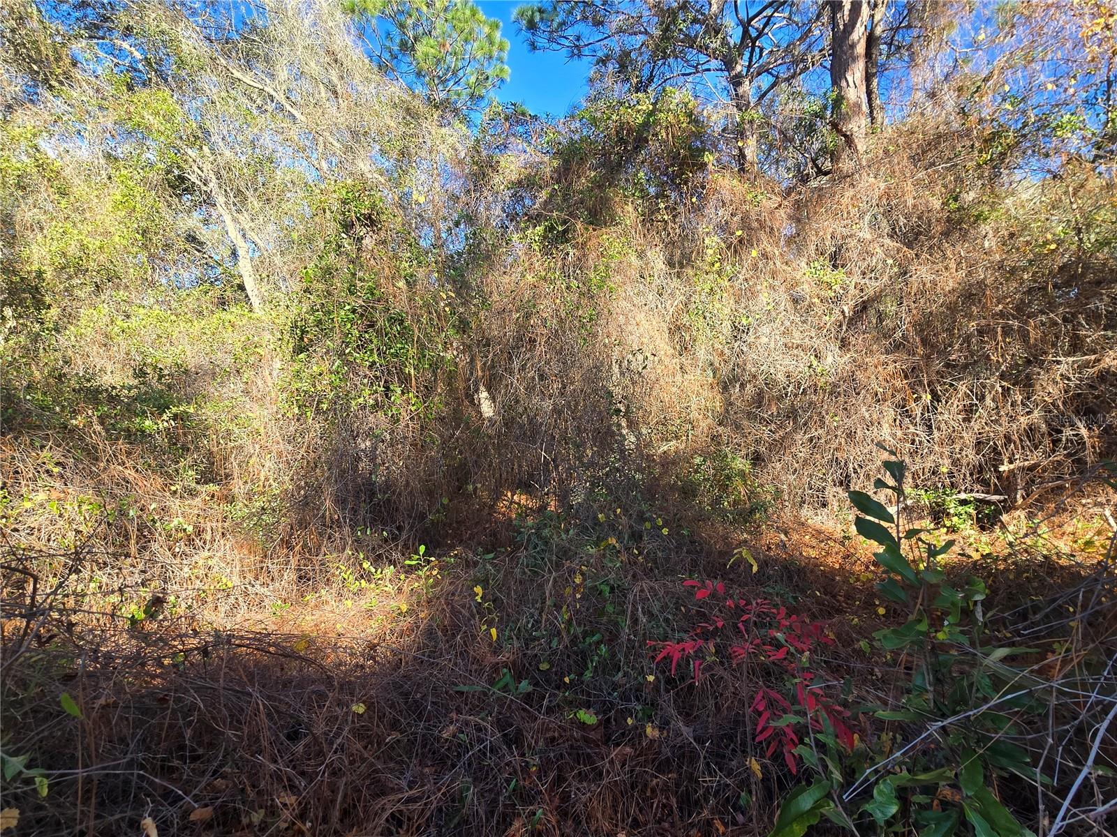 Image 7 of 7 For 3257 Kennedy Street