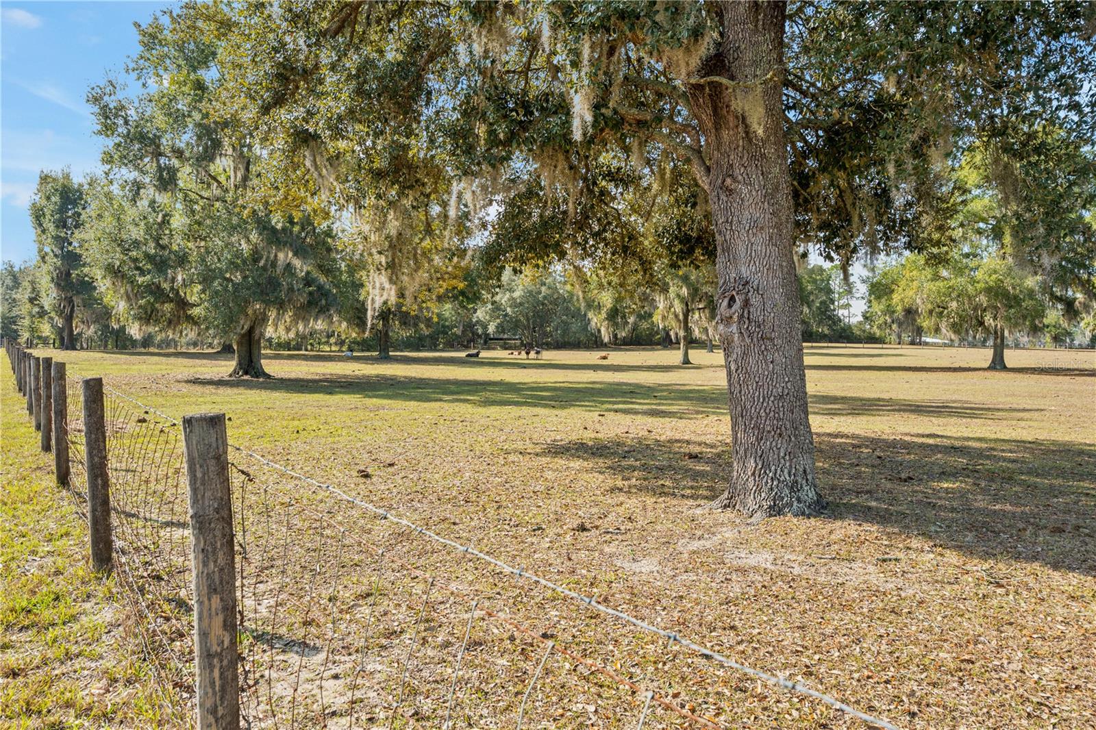 Image 36 of 51 For 1650 146th Avenue