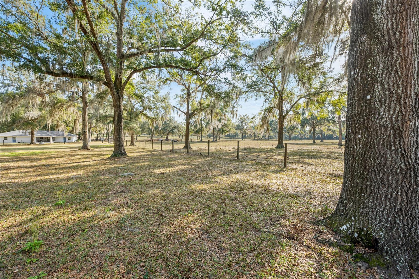 Image 38 of 51 For 1650 146th Avenue