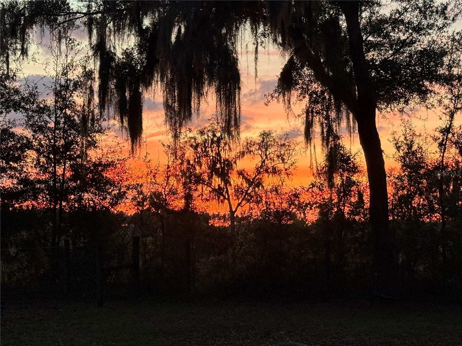 Image 50 of 51 For 1650 146th Avenue