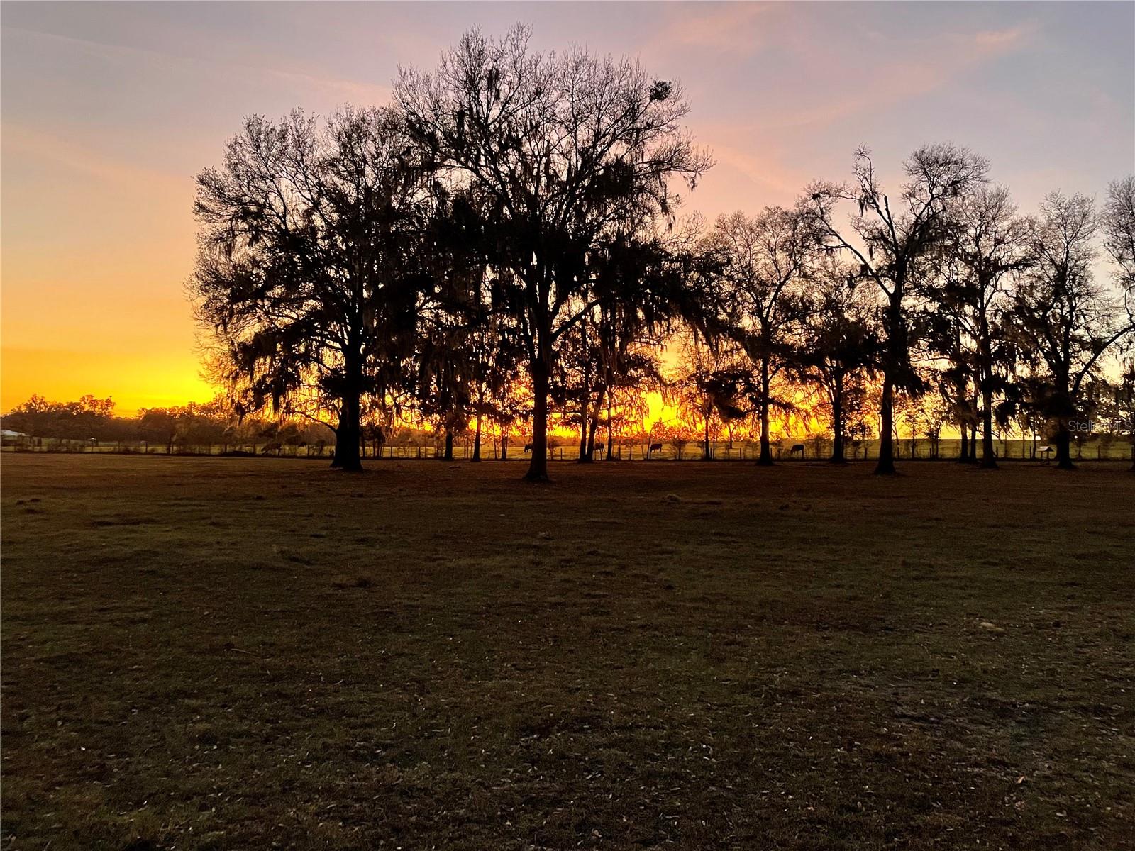 Image 51 of 51 For 1650 146th Avenue